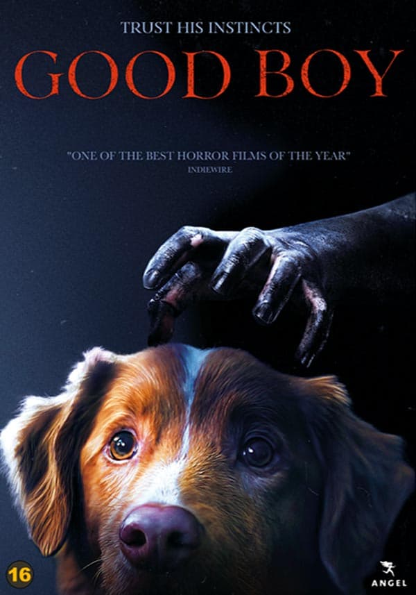 Good Boy ( Ej svensk text) (DVD)