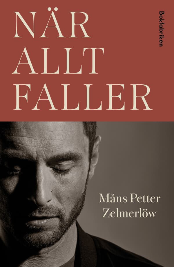 När Allt Faller (Bok / Inbunden)