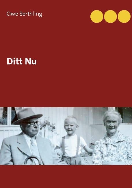 Sinun Nyt (Kirja / Nidottu)