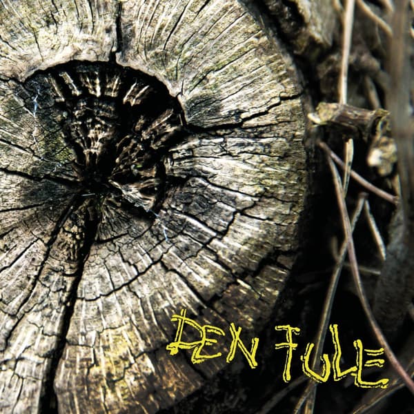 Den Fule: Den Fule (CD)