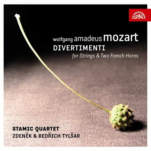 Mozart: Divertimenti For Strings & Two French H. (2 CD)