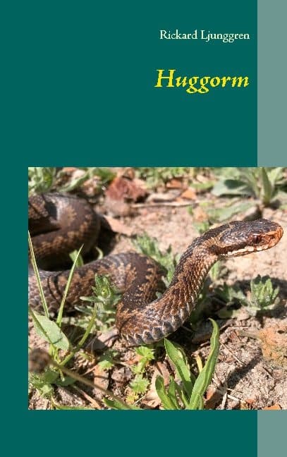 Huggorm (Bok / Häftad)