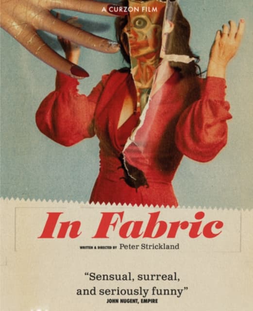 In Fabric (DVD)