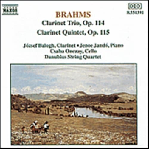 Brahms: Klarinettrio & Kvintett (CD)