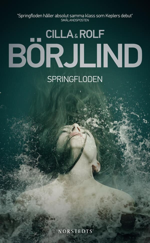 Springfloden (Bok / Pocket)