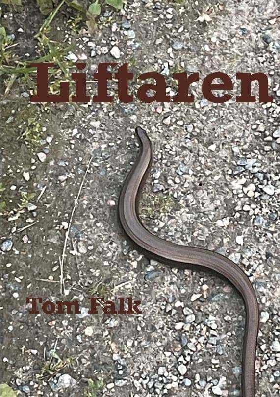 Liftaren (Kirja / Nidottu)