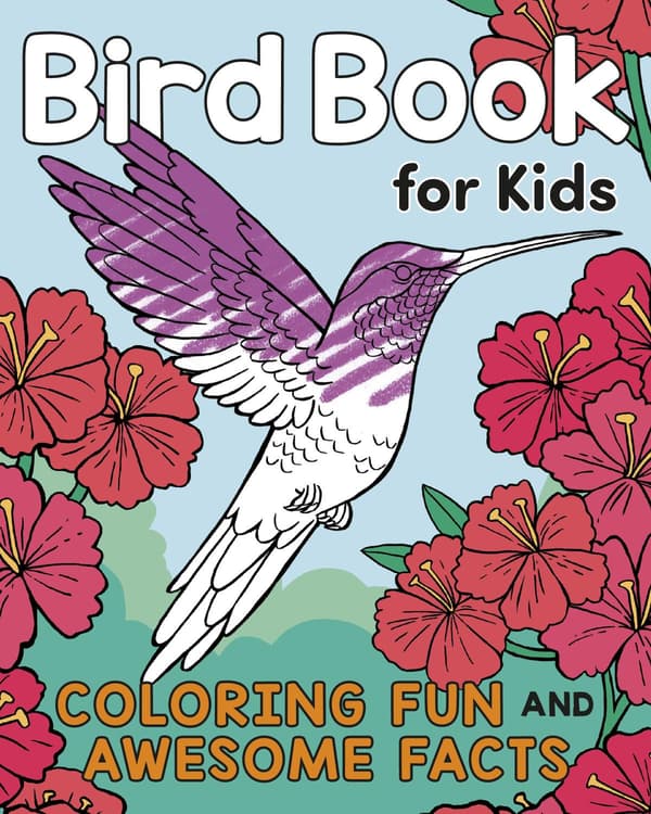 Bird Book for Kids (Bok / Häftad)