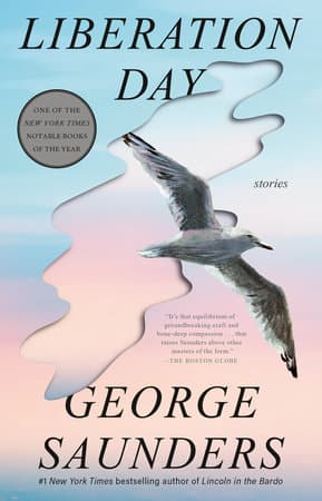 Liberation Day (Bok / Pocket)
