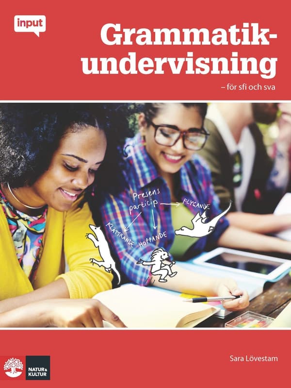 Grammatikundervisning - För Sfi Och Sva (Bok / Häftad)