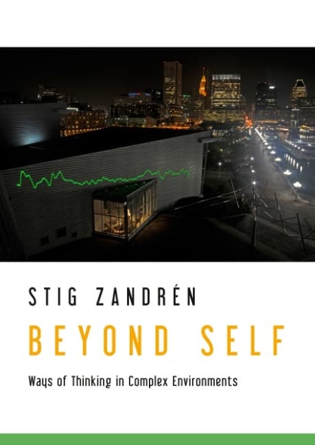 Beyond Self - Ways of Thinking in Complex Environments (Bok / Inbunden)