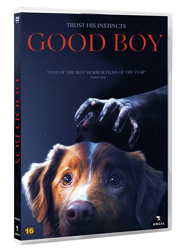 Good Boy ( Ej svensk text) (DVD)