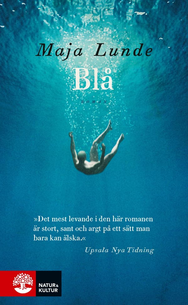 Blå (Bok / Pocket)