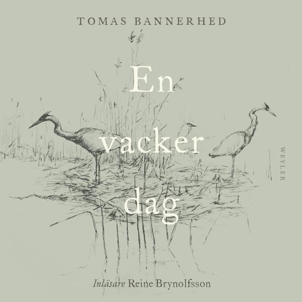 En Vacker Dag (Bok / Danskt band)