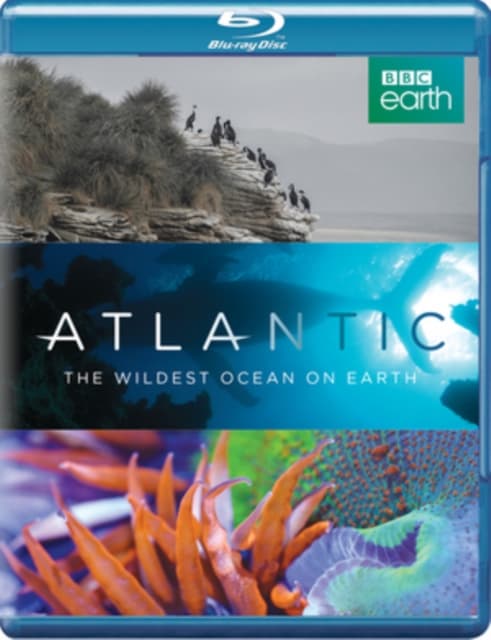 Atlantic - The Wildest Ocean On Earth (Blu-ray)