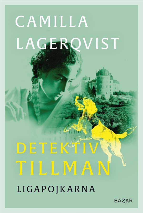 Ligapojkarna (Bok / Inbunden)