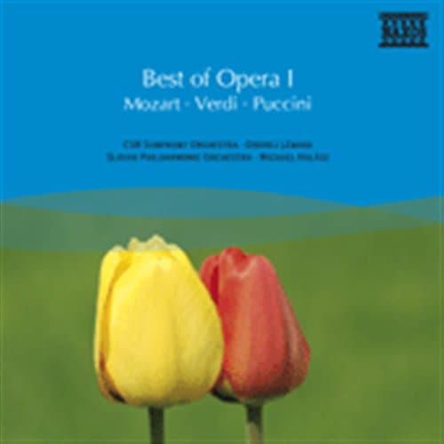 Best Of Opera I (CD)