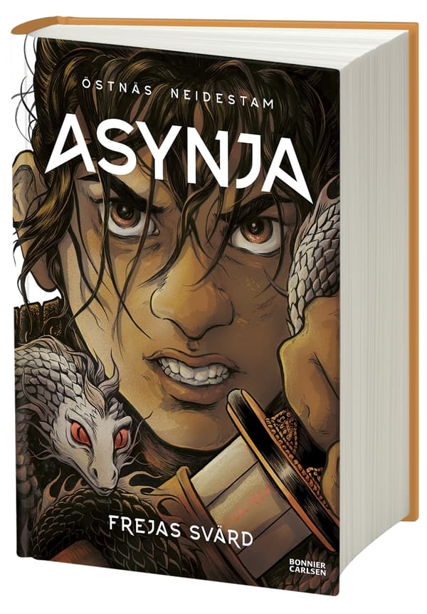 Frejas Svärd (Bok / Kartonnage)