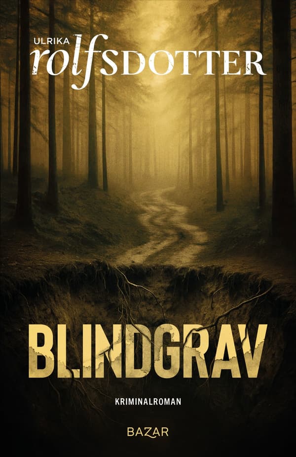 Blindgrav (Bok / Inbunden)