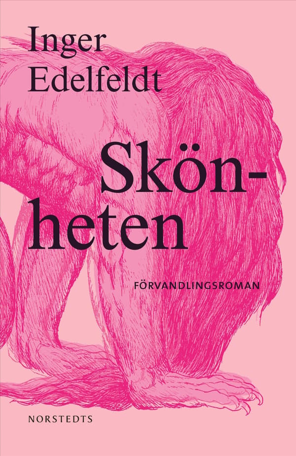 Kauneus (Kirja / Sidottu)