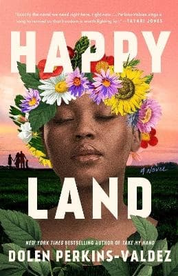 Happy Land (Bok / Häftad)