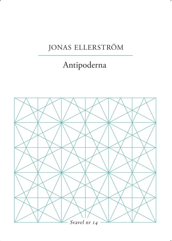 Antipodit (Kirja / Nidottu)