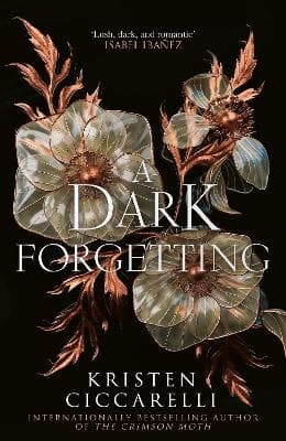A Dark Forgetting (Kirja / Kovakantinen)