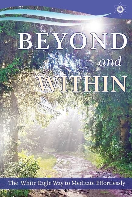 Beyond and Within (Kirja / Nidottu)
