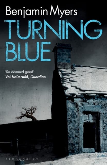 Turning Blue (Kirja / Pokkari)
