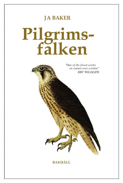 Pilgrimsfalken (Bok / Danskt band)