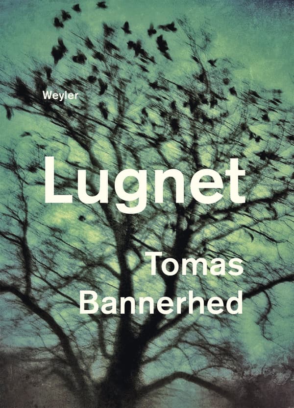 Lugnet (Bok / Pocket)