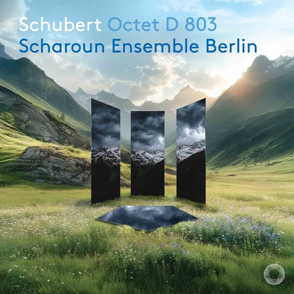 Schubert: Oktet D 803 (CD)