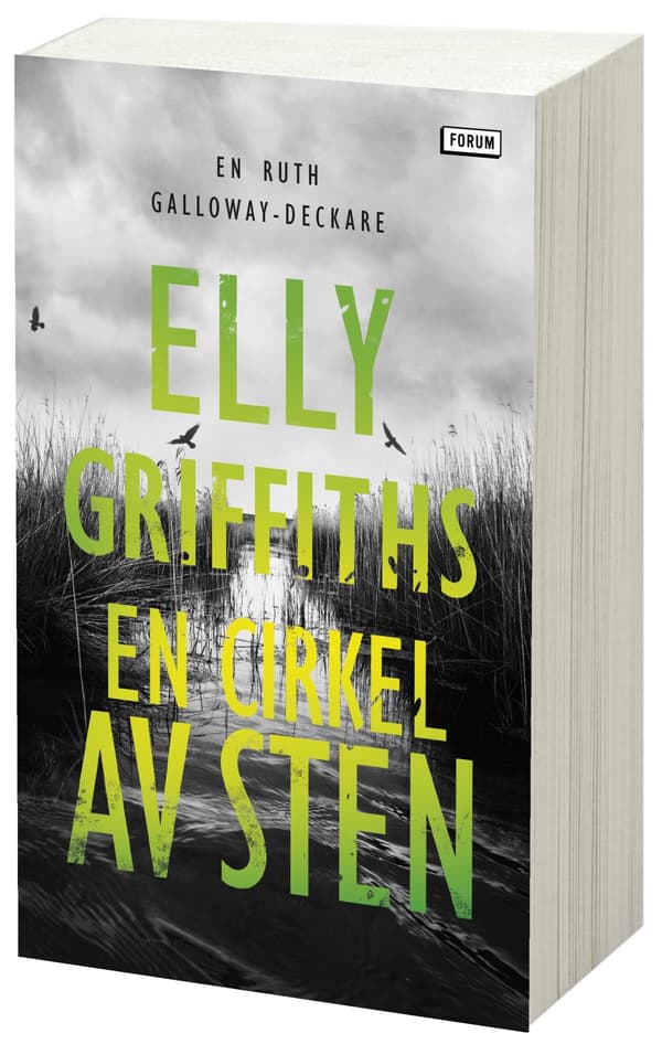 En Cirkel Av Sten (Bok / Pocket)