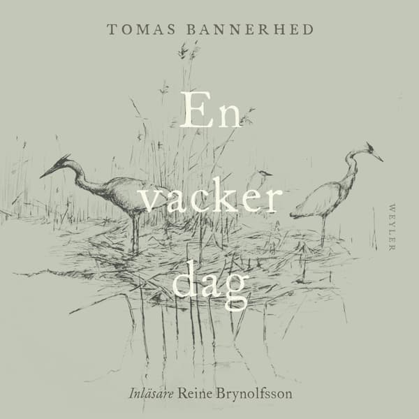En Vacker Dag (Bok / Danskt band)