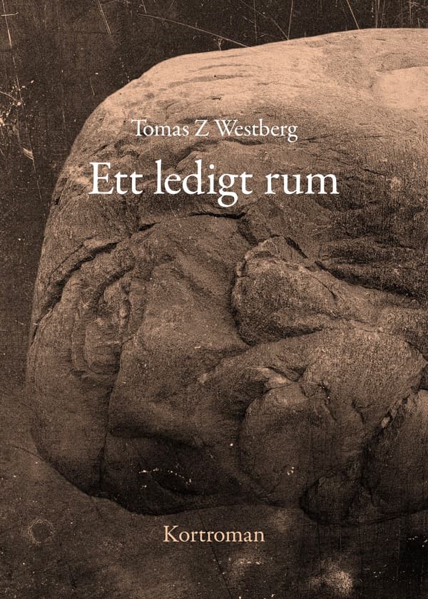 Ett Ledigt Rum (Bok / Danskt band)