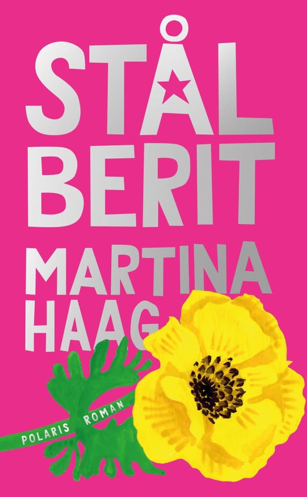 Teräs-Berit (Kirja / Pokkari)
