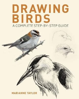 Drawing Birds (Bok / Pocket)