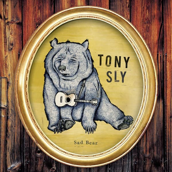 Sly Tony: Sad Bear (Vinyyli LP)