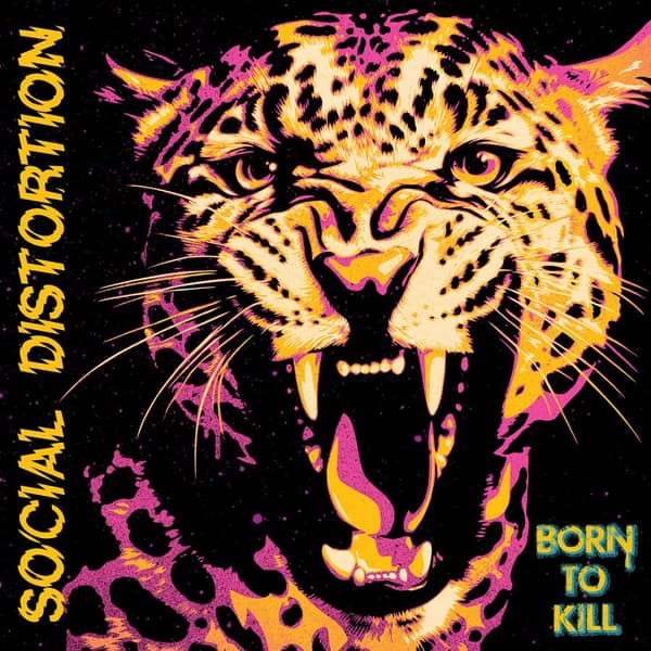 Social Distortion: Born to kill (2 Vinyl LP)