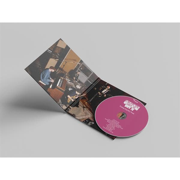Everyone Says Hi: Funny Cos It's True (CD)