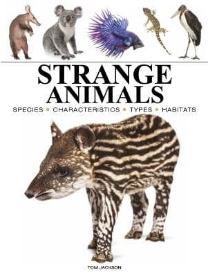Strange Animals (Bok / Häftad)