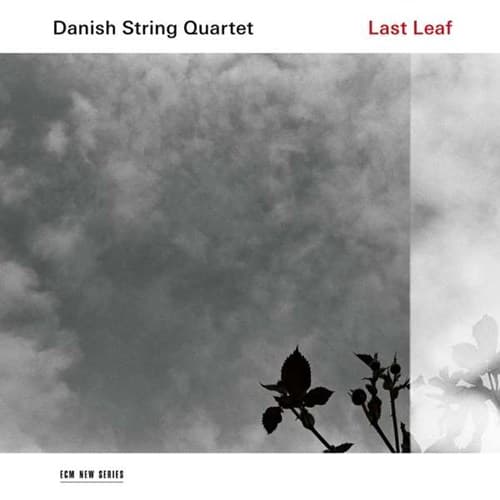 Danish String Quartet: Last Leaf (Vinyyli LP)