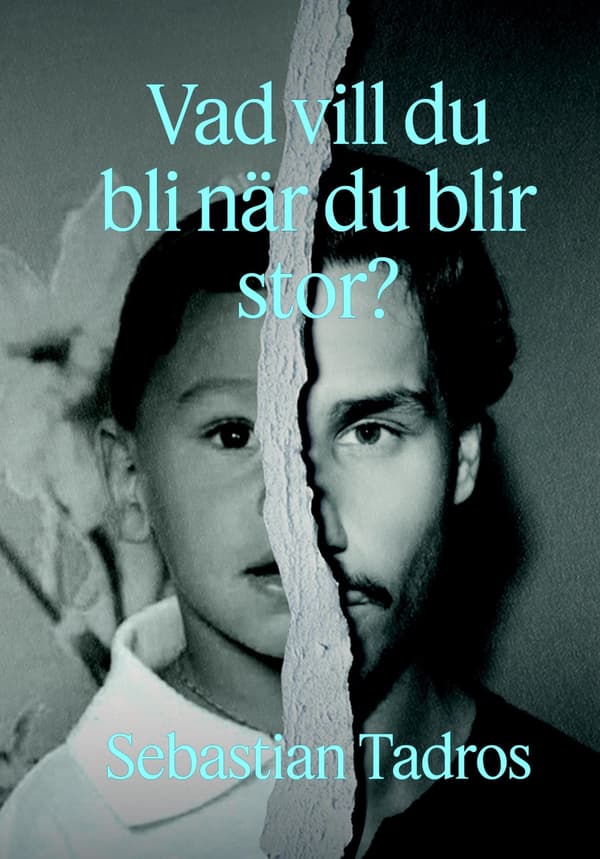 Vad Vill Du Bli När Du Blir Stor? (Bok / Kartonnage)