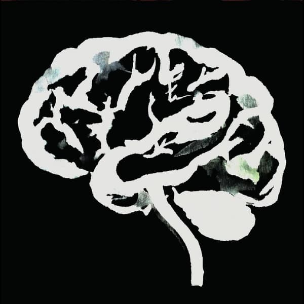 Ruins: Brain flakes (Vinyl LP)