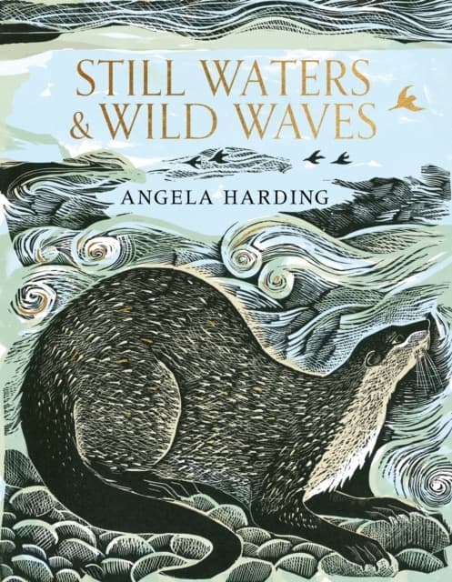 Still Waters & Wild Waves (Bok / Inbunden)