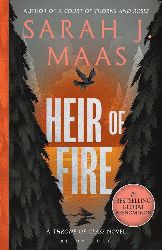 Heir of Fire (Bok / Pocket)