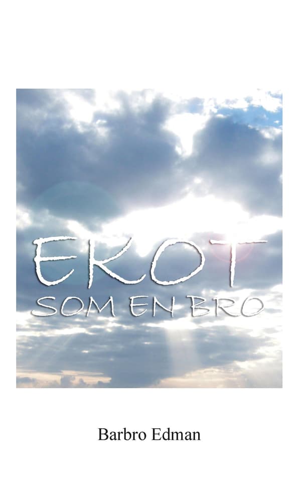 Ekot Som En Bro (Bok / Häftad)