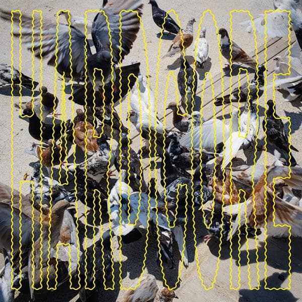 Salo: Hardcore (Vinyl LP)