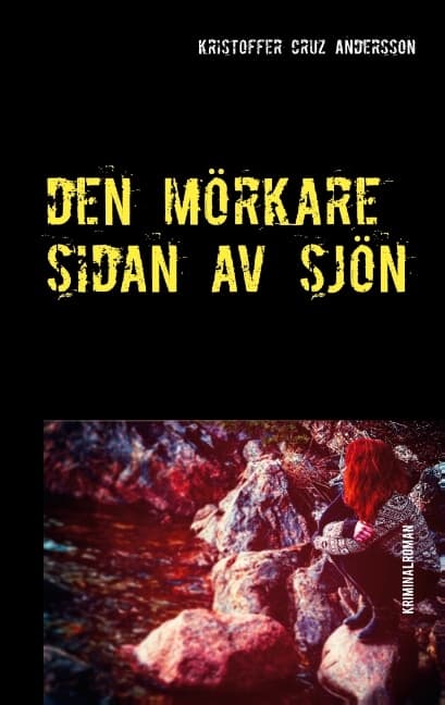 Den Mörkare Sidan Av Sjön (Bok / Häftad)
