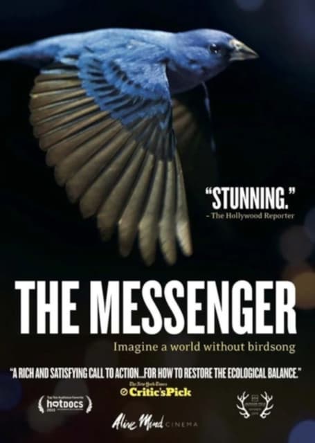 The Messenger (DVD)