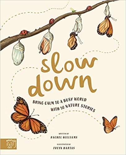 Slow Down (Kirja / Nidottu)